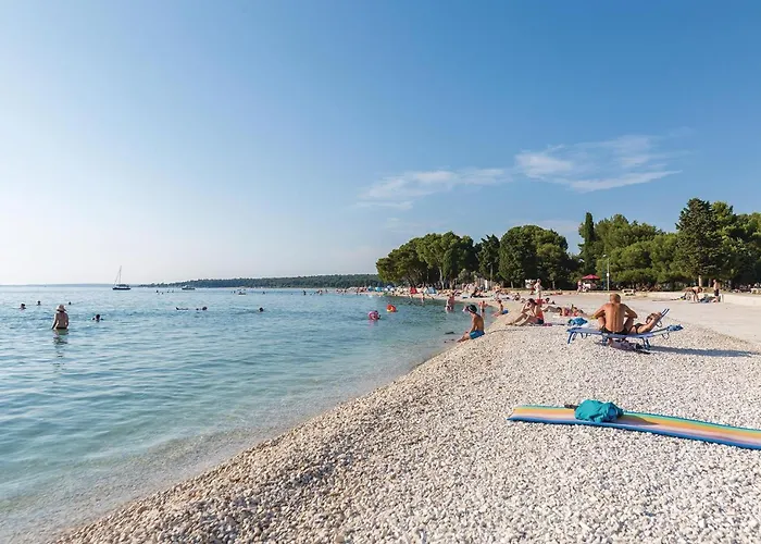 In Golubovo With Kitchen Mednjan